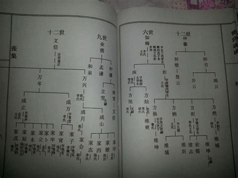 張氏族譜查詢|試試快速祖先搜尋